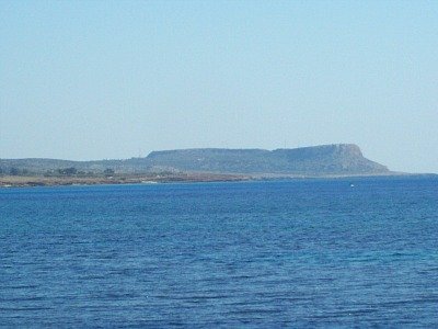 Cape Greko